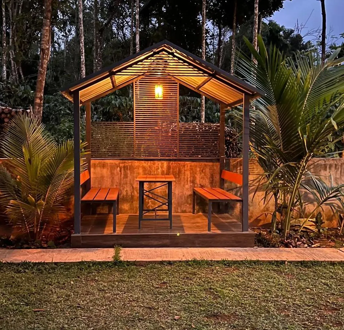 Hill View Heights Wayanad Apartment Meppadi Homestay